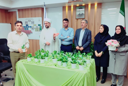 تجلیل از معمـاران نظم اطلاعات سـلامت در مرکـز آموزشـی درمانـی امیـن
